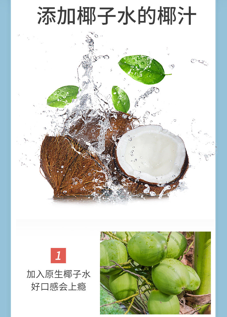 菲诺纯 生榨新鲜椰汁 180ml*12袋 原生椰浆制作 图2