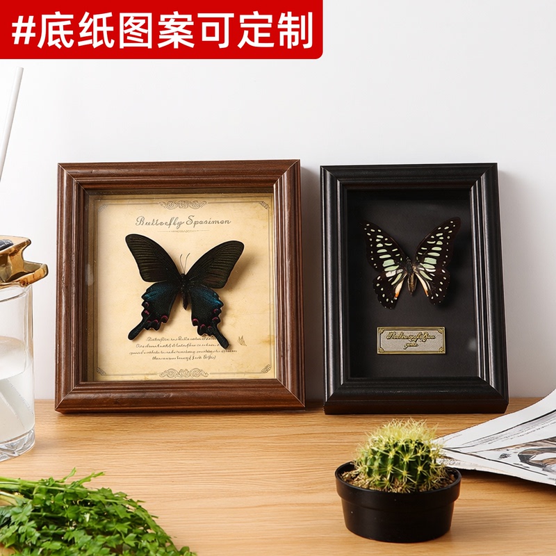 Green-Banded Crested Butterfly Insect Specimen Photo Frame Display Stand Handmade DIY Three-Dimensional Hollow Preservation Display Picture Frame Wall Hanging
