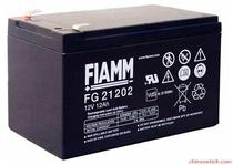 Extraordinary storage battery FG21202 Offer extraordinary storage battery 12V12AH special price manufacturer direct sales extraordinary
