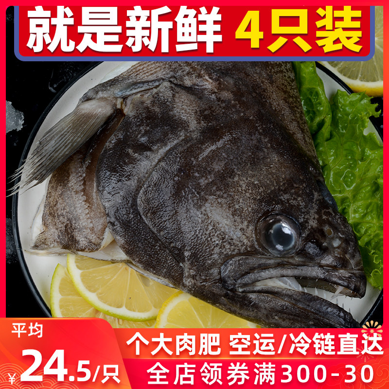 Flounder Head Greenland Imports Deep Sea Biome Fish Seafood Fresh Disc Fish Head Frozen Alive Opium Fish Head