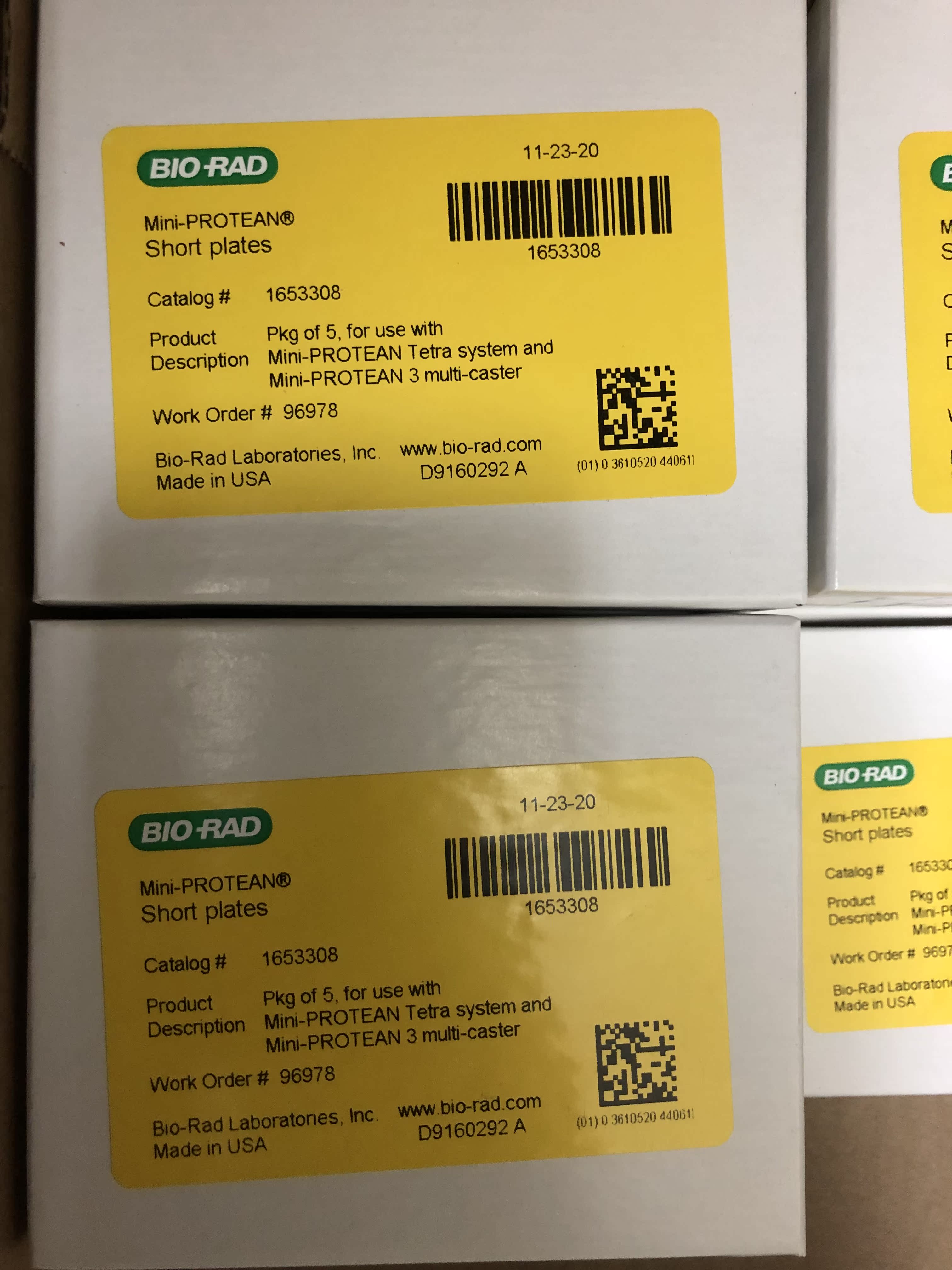 BIO-RAD electrophoresis glass plate 1653308