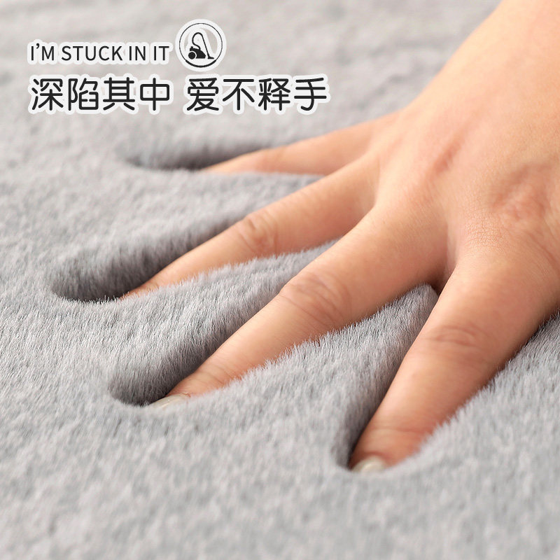 Thickened Carpet Living Room Nordic Floating Windows Ins Nets Red Large Area Bed Side Imitation Rabbit Plush Tea Table Mat cushion Bedroom