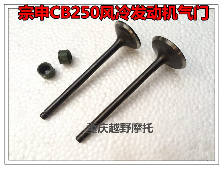 Zongshen CB250 Engine valve T4 Zhenglin CQR MX6 M4 K5 K5 Guivered cross-country Mormon valve with oil seal