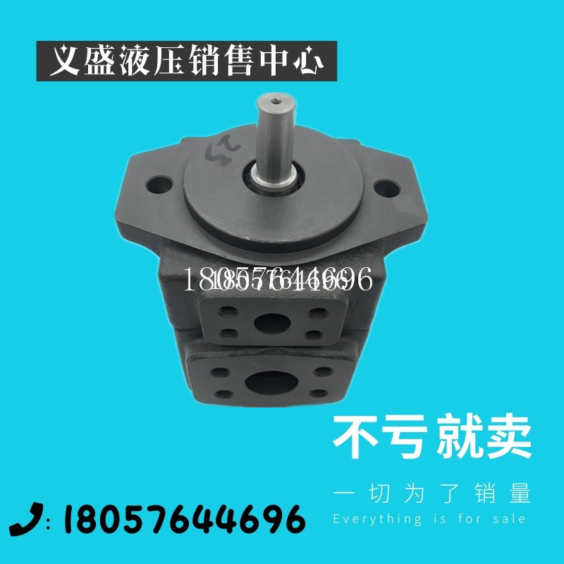 PV2R3-52 60 66 66 85 85 94116125136 153-FR Variable vane pumps