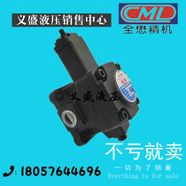 CML quan mao VCM-SF-40D-10 pump VCM-SF-30C 20B 15A 12D-10 variable vane pump