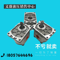 Shearing machine Sorui cast aluminum other pressure test pump hydraulic oil pump CBN-F300104E31625 high pressure gear pump