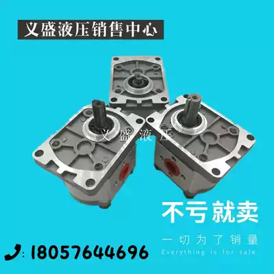 Shearing machine Sorui cast aluminum Other pressure test pump Hydraulic oil pump CBN-F300104E31625 high pressure gear pump