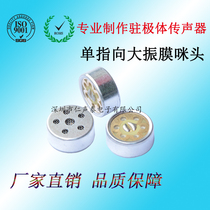 1465 single point noise reduction microphone head K song conference interview special capacitor microphone microphone