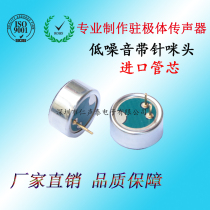 Factory supply 9745 anti-noise head 2 4G anti-interference low noise microphone) imported MIC) receiver) microphone