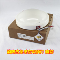 Op lighting led fire emergency ceiling light radar microwave sound and light control induction sound Corridor light Xiao Yun 11W