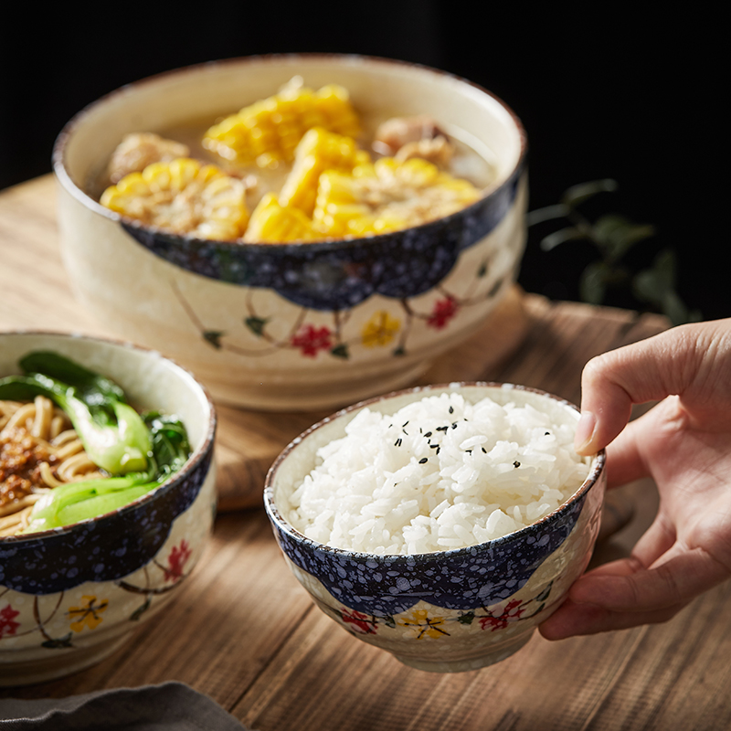 Job creative household ceramic bowl bowl suit move tableware tureen large bowl of a single salad bowl Japanese rainbow such use