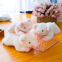 Chinese Valentines Day Valentines Day Net red plush toy cute pig massage pillow doll bed birthday gift woman