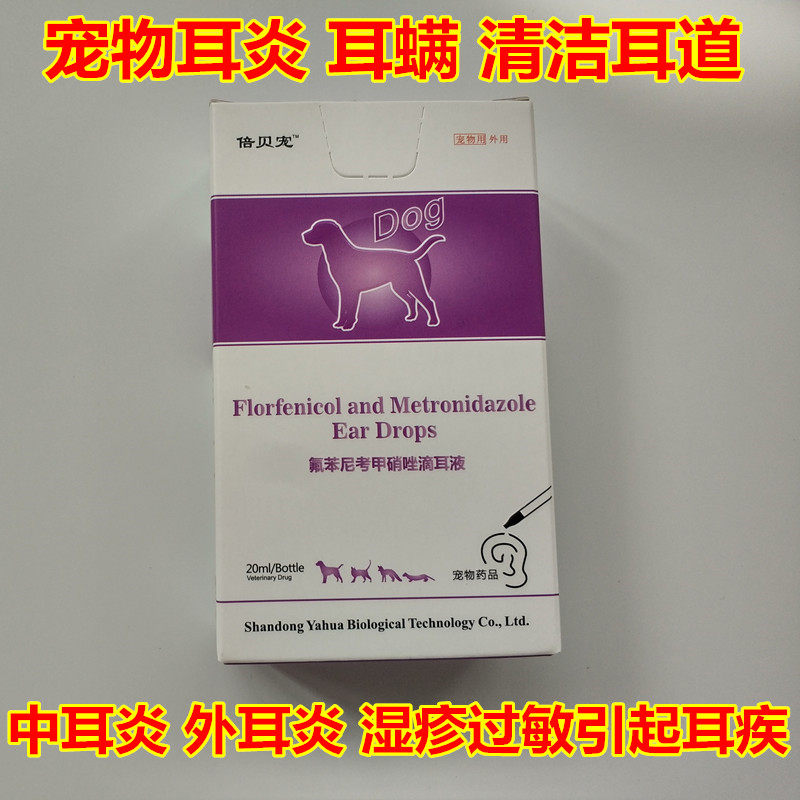 Double Beer puppies teddy dripping ear fluid cleaning ears Ears Kittens Ear Mite Middle Ear Inflammation of the Ears Mites