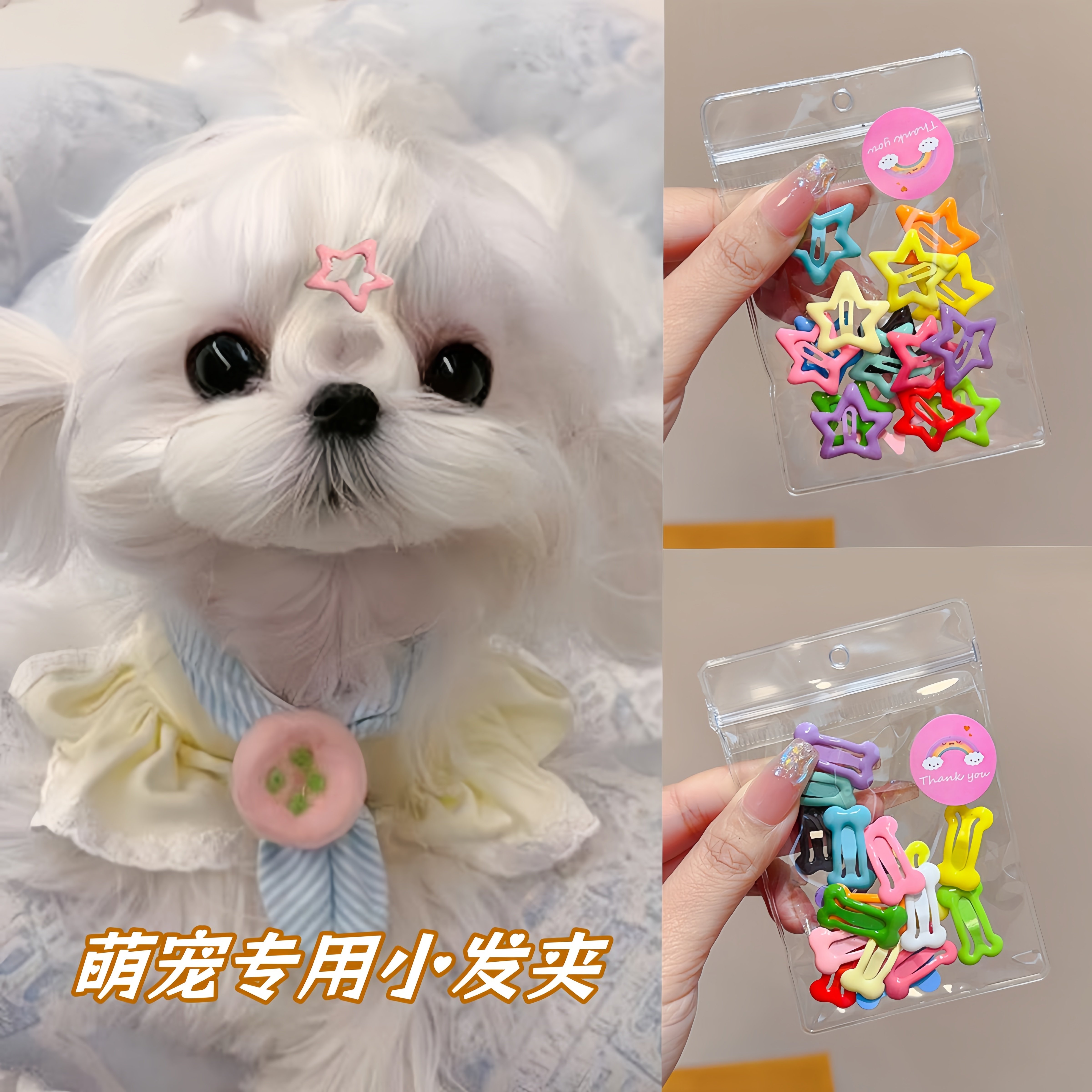 印證了之前菜市場阿姨指著她寶貝跟我說的：「我跟你說啦！！狗狗胖胖的就會情緒穩定」 看來這句名言適合所有狗，在吉難逃。, image size:4800x4800