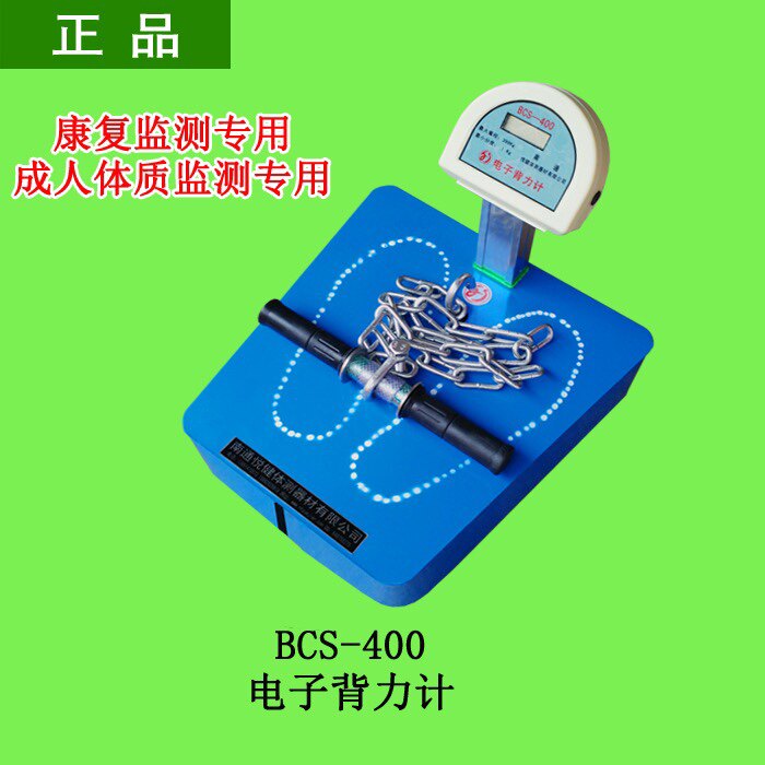 电子 背力计握力计  测试仪  测试腰背部肌肉力量 评估训练室器材