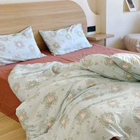 Цветы и растения