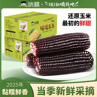 啃糯黑糯玉米东北新鲜真空包装