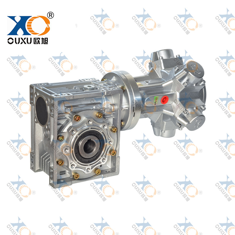 QMHJBS050A-NMRV063 Five-cylinder piston high-torque air motor with worm gear reducer