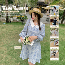 Masisi Micro Fat Big Code Doll Collar Snowspun Dress Woman Spring Fat Mm Conspicuic Style Comeback Crummy Floral Long Dress
