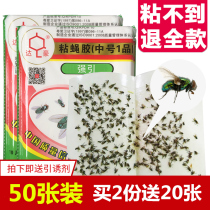 Dahao strong catch anti-stick fly glue Lure fly trap tape Fly paste fly medicine 50 sheets