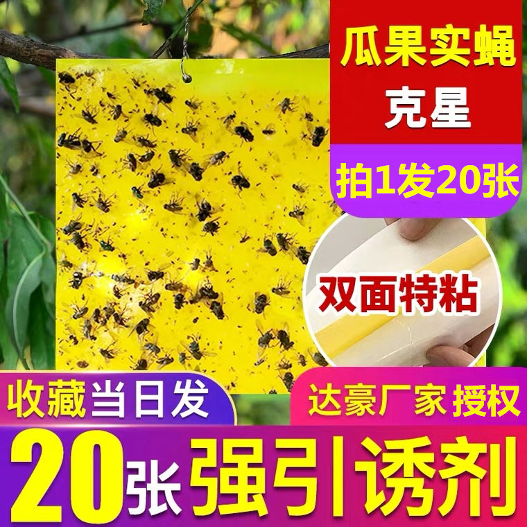 Dachau double - sided seduce dose of fruit fly melon fruit melon fruit slime plate farm stick 20 sheets