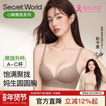 Secretworld Lingerie for Women with Small Busts, Push-Up Effect, Side Breast Enhancement, Anti-Sagging, Deep V, Sexy Bra, Comfortable and Seamless