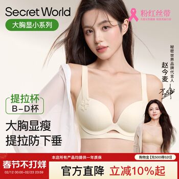 Secretworld Intimates for Women with Large Breasts, Pull-Up and Slimming, Anti-Sagging, Comfortable and Traceless New Bra