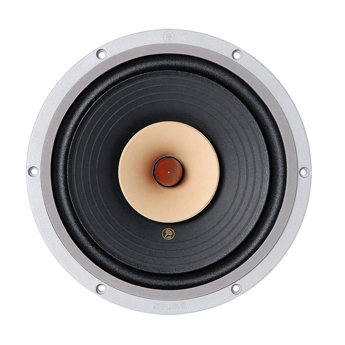 Lii-audio FAST-10 (new 2020) full-frequency horn 10 inch unit