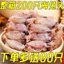 Aplysia non-ready-to-eat non-special grade cuttlefish pen tube fish full of seeds fresh bulk cuttlefish dried dry goods
