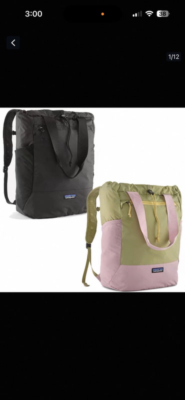 In Stock Japan Patagonia 24L Hand-Held Backpack with Shoulder Straps
