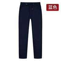 Синие толстые спортивные штаны (ZC320)