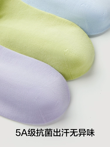 [Средняя короткая трубка] Есть носки-деревья, женские носки до середины икры, летние тонкие носки из чистого хлопка с антибактериальным дезодорантом, белые ограничительные носки