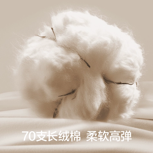 有棵树 Хлопковые длинные антибактериальные трусы, шорты, высокая талия