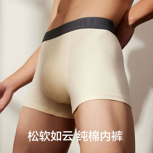 有棵树 Мужское нижнее белье, трусы-боксеры холодного окрашивания из чистого хлопка для мальчиков, мужские трусы-боксеры, новинка 2025 года, шорты мужского стиля