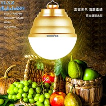 New Super Bright Night City Pendulum showlights LED rechargeable light bulbs Home Emergency power outages Mobile Wireless Camping