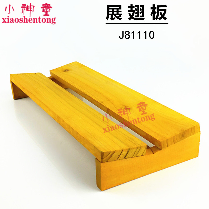 展翅板 J81110 标本制作工具 初中 高中 生物实验器材 教学仪器