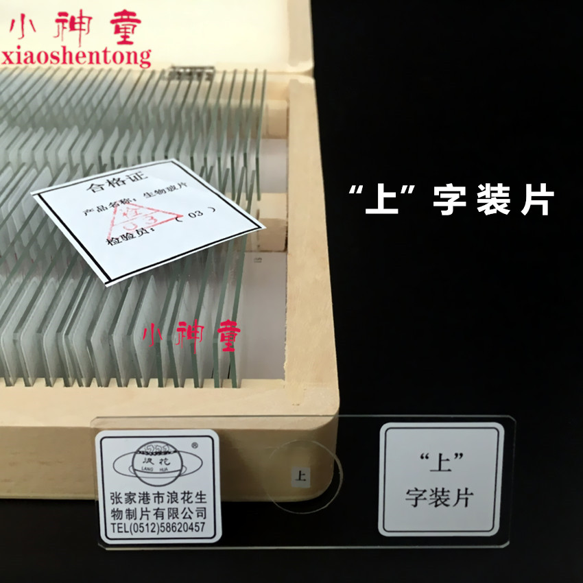 43602 上字装片 切片 中小学教学生物玻片 切片 浪花牌 教学仪器