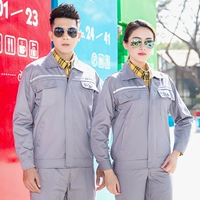 Весна и осенняя серая (набор)