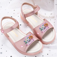 Ежедневный порошок