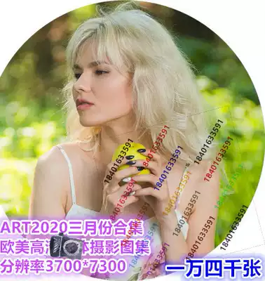 art202003 European and American material