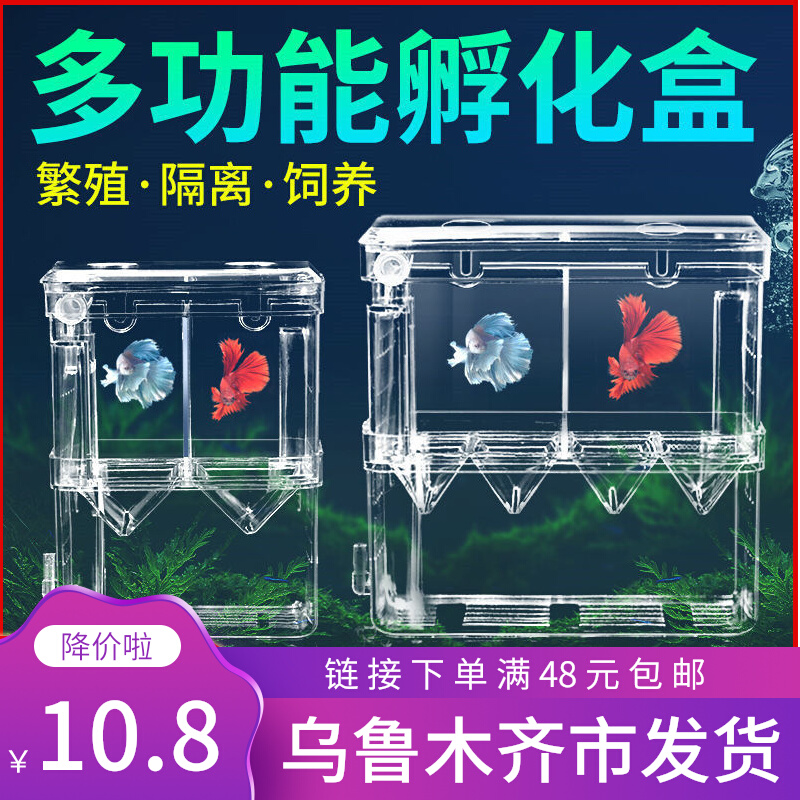 Fish incubator peacock transparent breeding bowfish isolated acrylic double-layer hatcher box