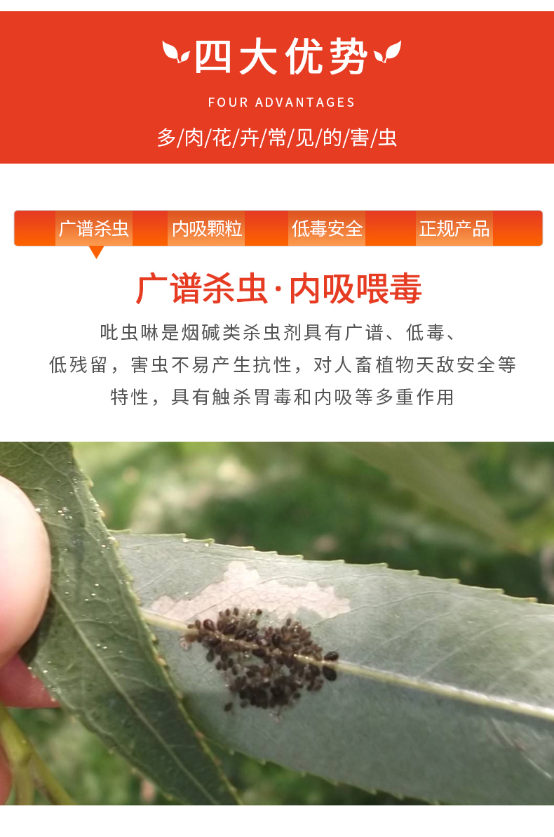 领沃 吡虫啉 杀虫药 50g 花卉植物通用 图4