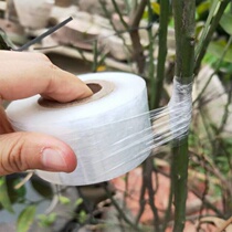 Graft Film Glutinous Rice Paper Special Membrane Free Fruit Tree Wound Film Film Self-Adhesive Graft Transparent Pull Extension Film Insulation Film