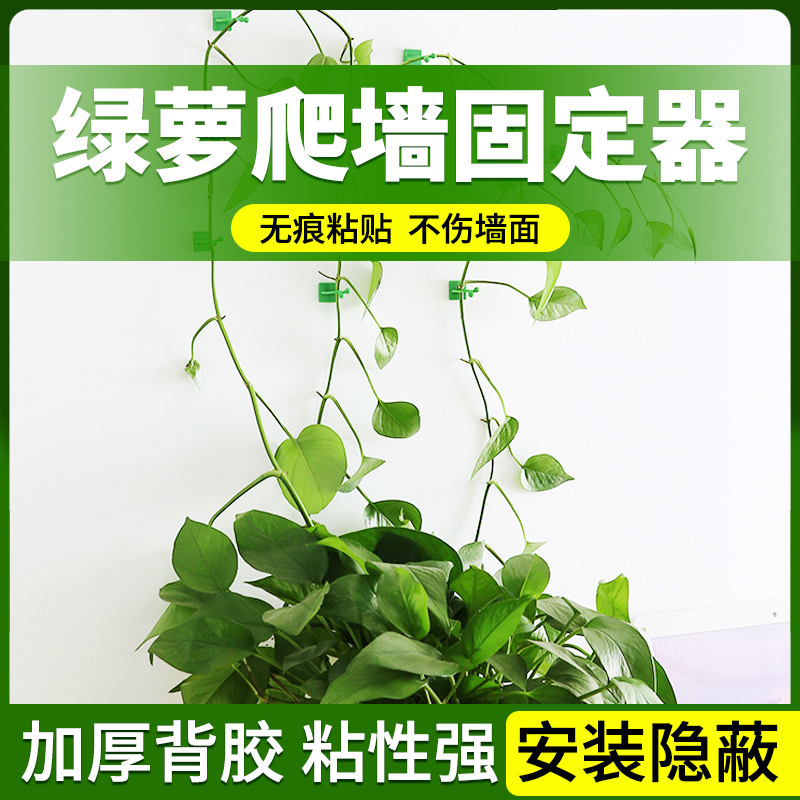 Green Plant Climbing Vine Fixer, No Drilling Required, Does Not Damage the Wall, Strong Adhesive, Button Design, Compact and Discreet Hook for Climbing Plant Poles Green Plant Climbing Vine Fixer, No Drilling Required, Does Not Damage the Wall, Strong Adhesive, Button Design, Compact and Discreet Hook for Climbing Plant Poles