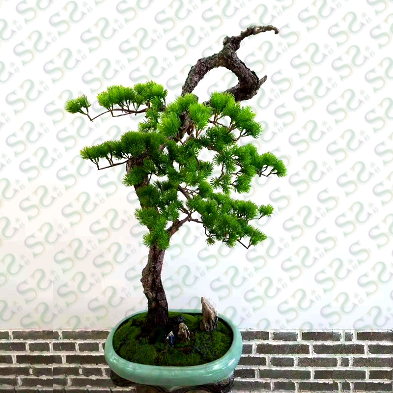Simulated pine pine pine branches fake pine pine branches indoor pot scenery dry flower plastic pine leaves fake leaves