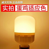 LED light bulb for farming chicken farm special LED lightbulb warm lamp lighting lamp egg chicken energy-saving LED bulb