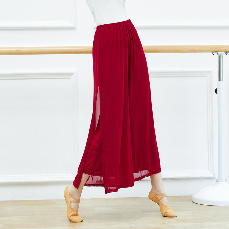 New dance trousers female adult elegant mesh slit wide-leg trousers classical dance dance trousers Chinese performance clothing