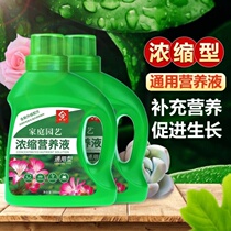 Small leaf red sandalwood banyan iron tree triangle plum bonsai nutrient solution general bonsai fertilizer special fertilizer potted household