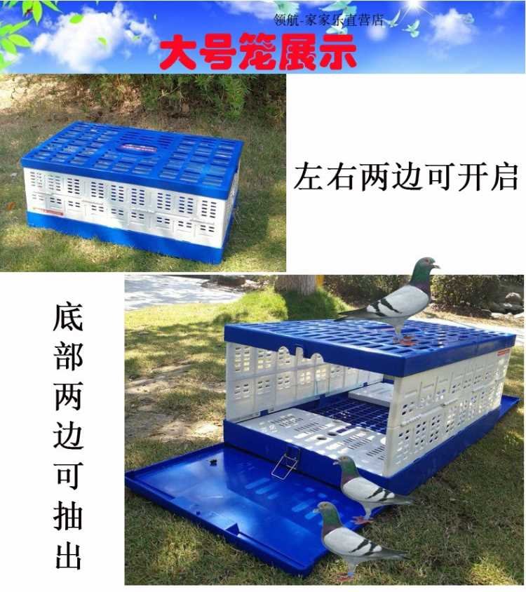 Báo cáo lồng bay đào tạo lồng nhựa gấp chuồng bồ câu lồng chim bồ câu cung cấp thiết bị chim bồ câu đua lồng chim bồ câu - Chim & Chăm sóc chim Supplies lồng chim hút mật