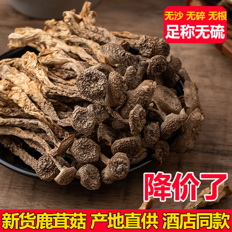 Deer Antler Mushroom Dry Goods Fresh Premium Antler Mushroom Edible Mushroom Soup Mushroom Native Products Soup Ingredients 500g